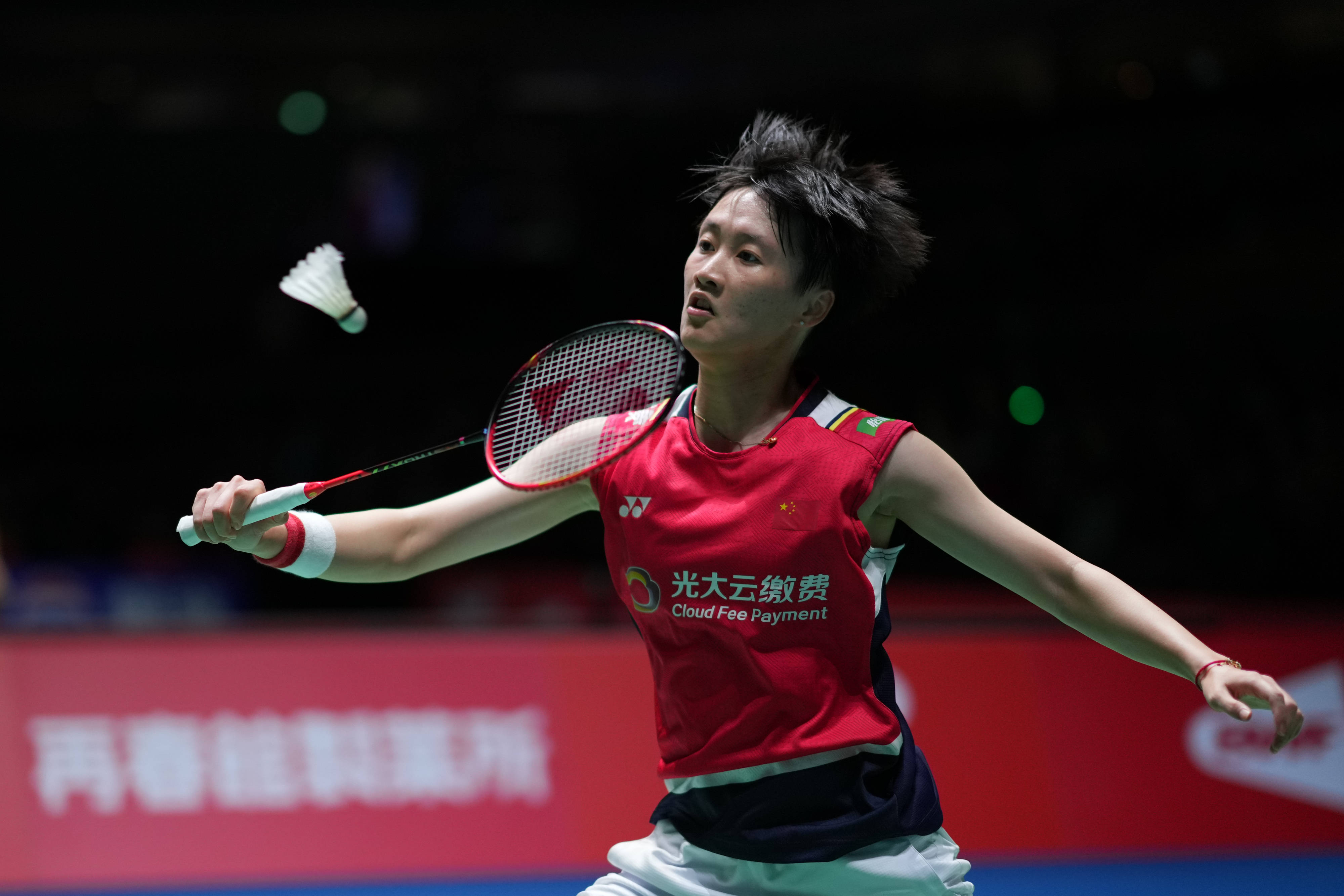 也可以拥有 也可以拥有