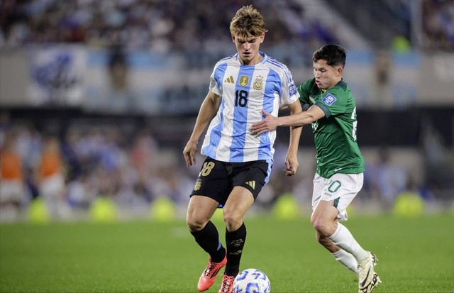 的特点十分 的特点十分