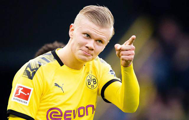 半区视野 半区视野