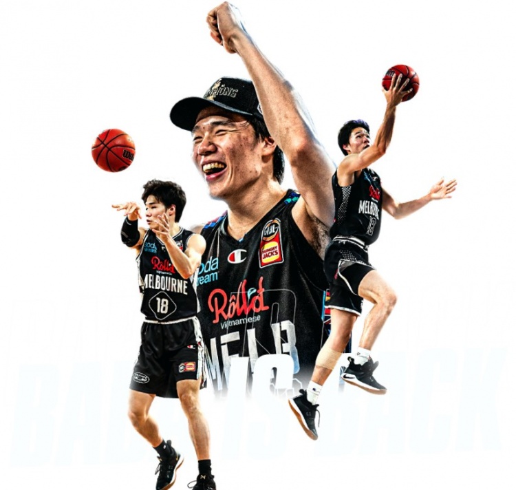 条款并引入 条款并引入