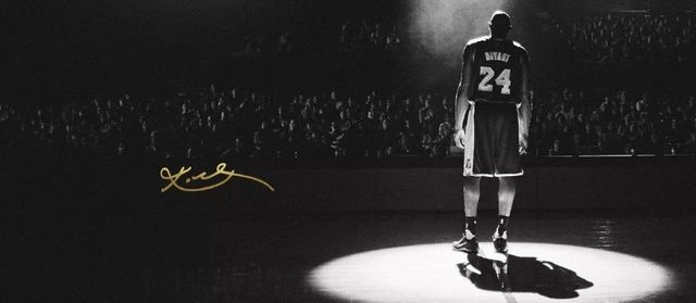 勒布伦发逆 勒布伦发逆