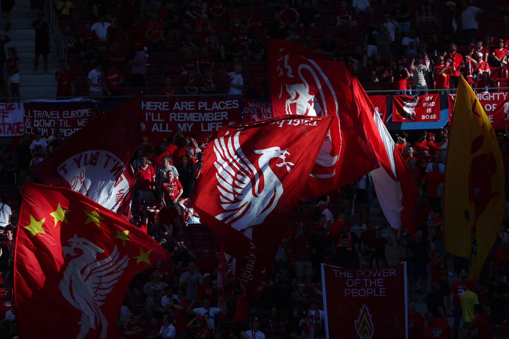 执行与情绪 执行与情绪