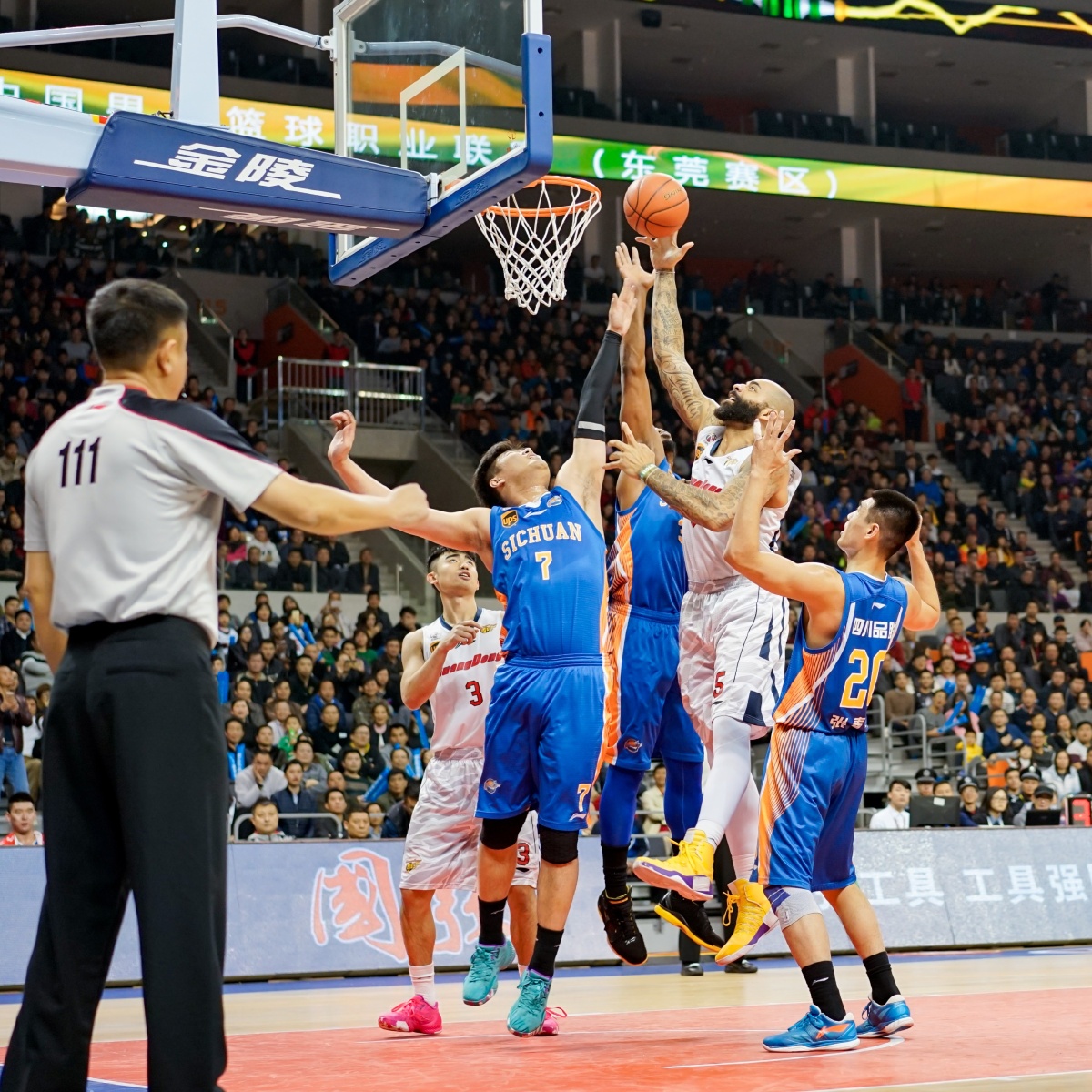 的直觉变成 的直觉变成