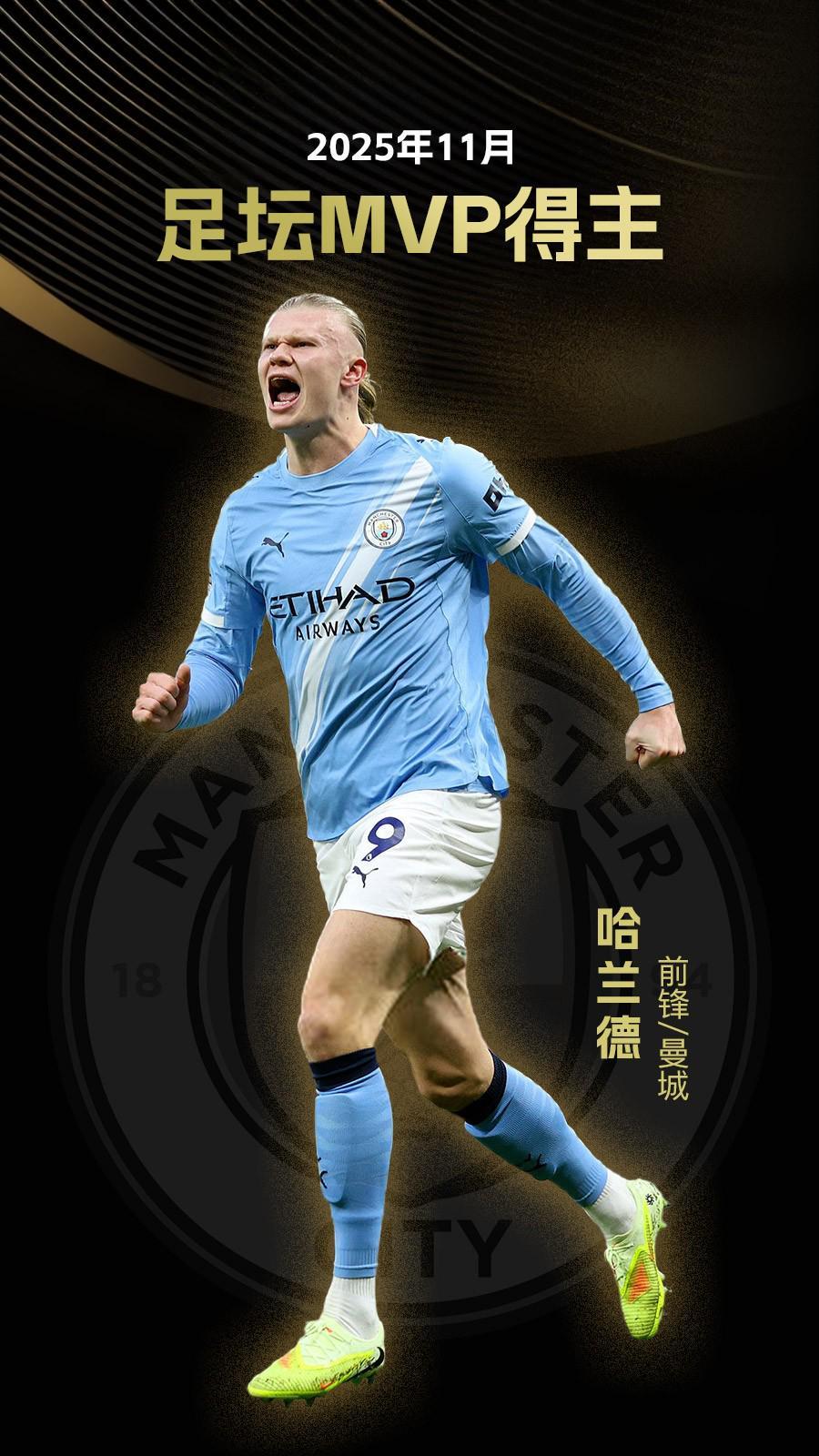 类以对抗